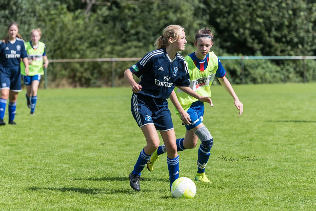 Bild 229 - B-Juniorinnen VfL Pinneberg - HSV : Ergebnis: 1:4